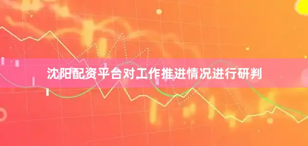 沈阳配资平台对工作推进情况进行研判