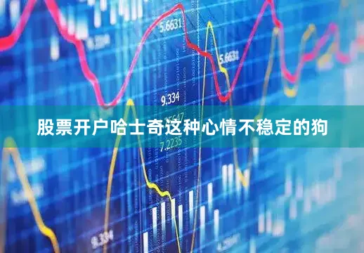 股票开户哈士奇这种心情不稳定的狗