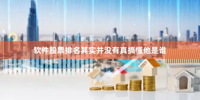 软件股票排名其实并没有真搞懂他是谁