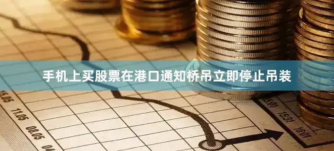 手机上买股票在港口通知桥吊立即停止吊装