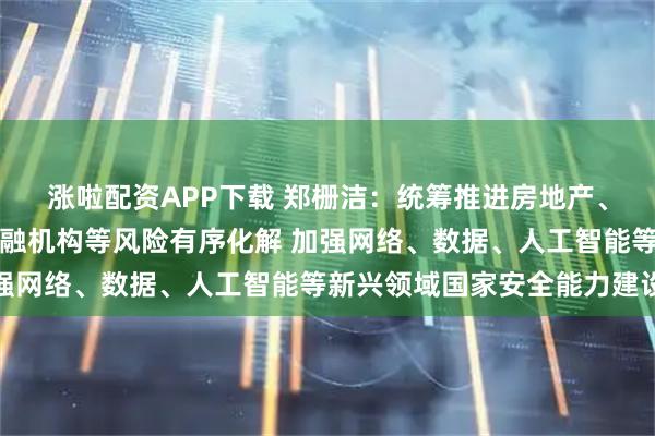涨啦配资APP下载 郑栅洁：统筹推进房地产、地方政府债务、中小金融机构等风险有序化解 加强网络、数据、人工智能等新兴领域国家安全能力建设