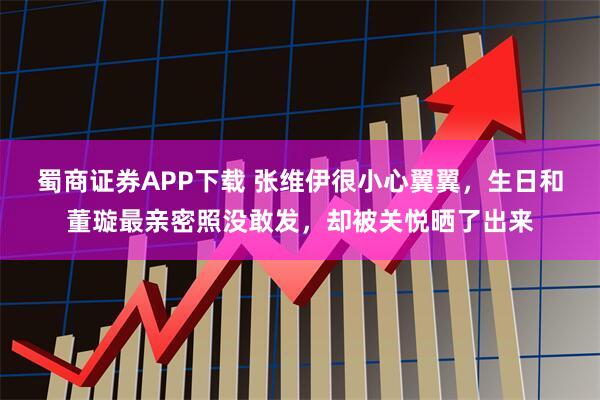 蜀商证券APP下载 张维伊很小心翼翼，生日和董璇最亲密照没敢发，却被关悦晒了出来